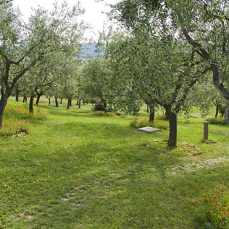 Residence Villa Adriana SantʼAngelo in Lizzola المظهر الخارجي الصورة