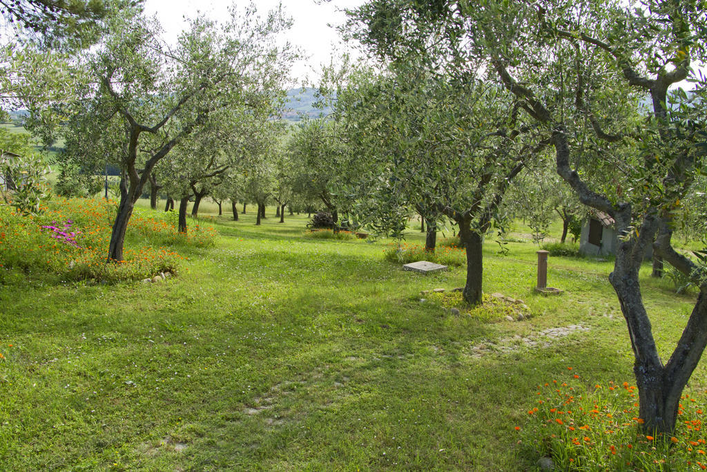 Residence Villa Adriana SantʼAngelo in Lizzola المظهر الخارجي الصورة